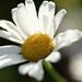 Dj076_l_2