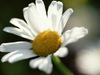 Dj076_l
